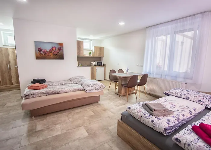 Mona Apartament *